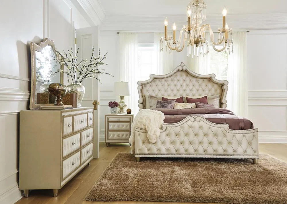 Antonella Camel Mirror with Nailhead Trim - Image 2