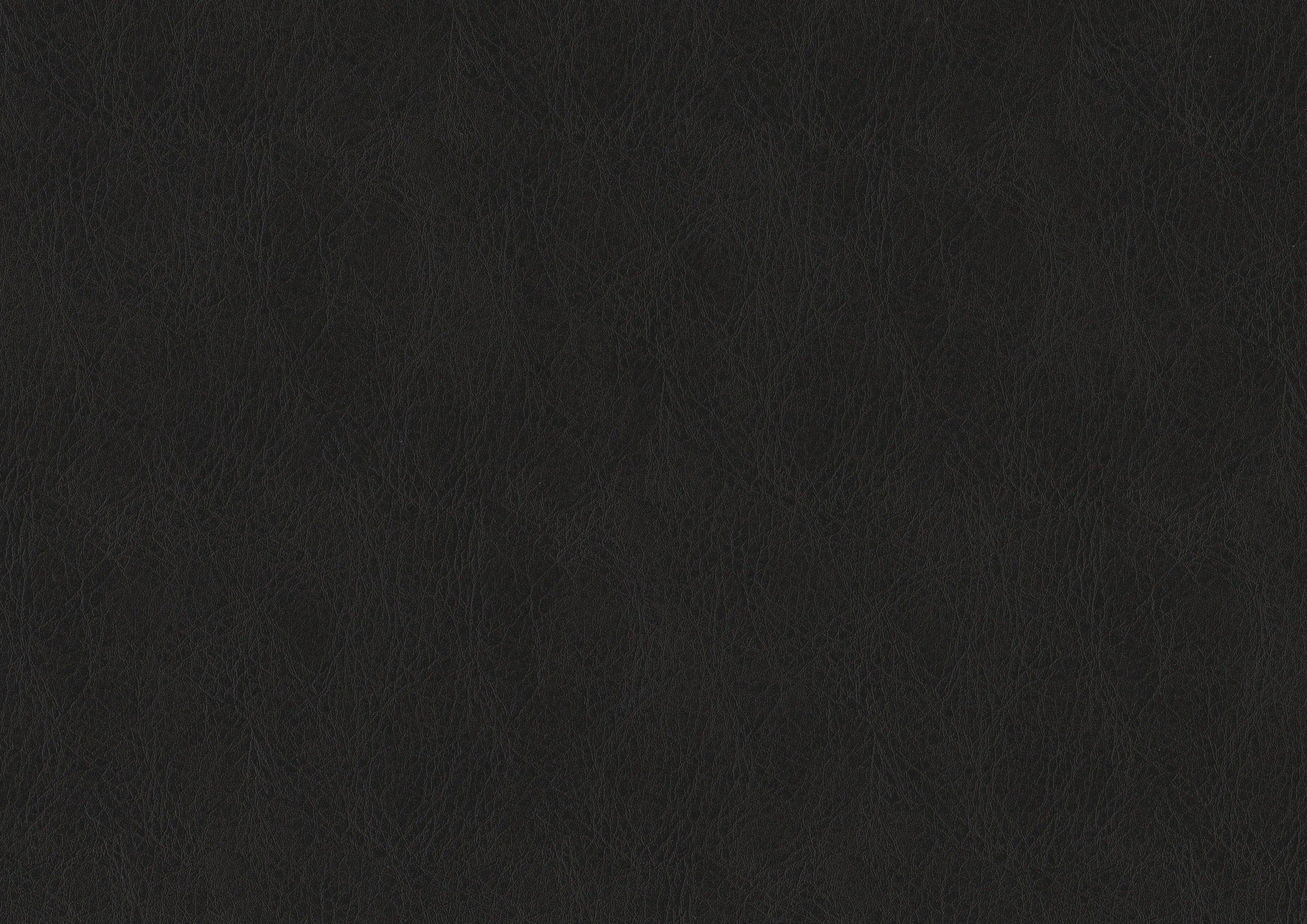 Bergen Dark Oak Arm Chair, Set of 2 - Image 10