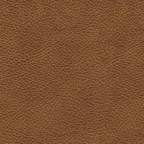 Carianna Caramel Leather Sofa and Loveseat - Image 4