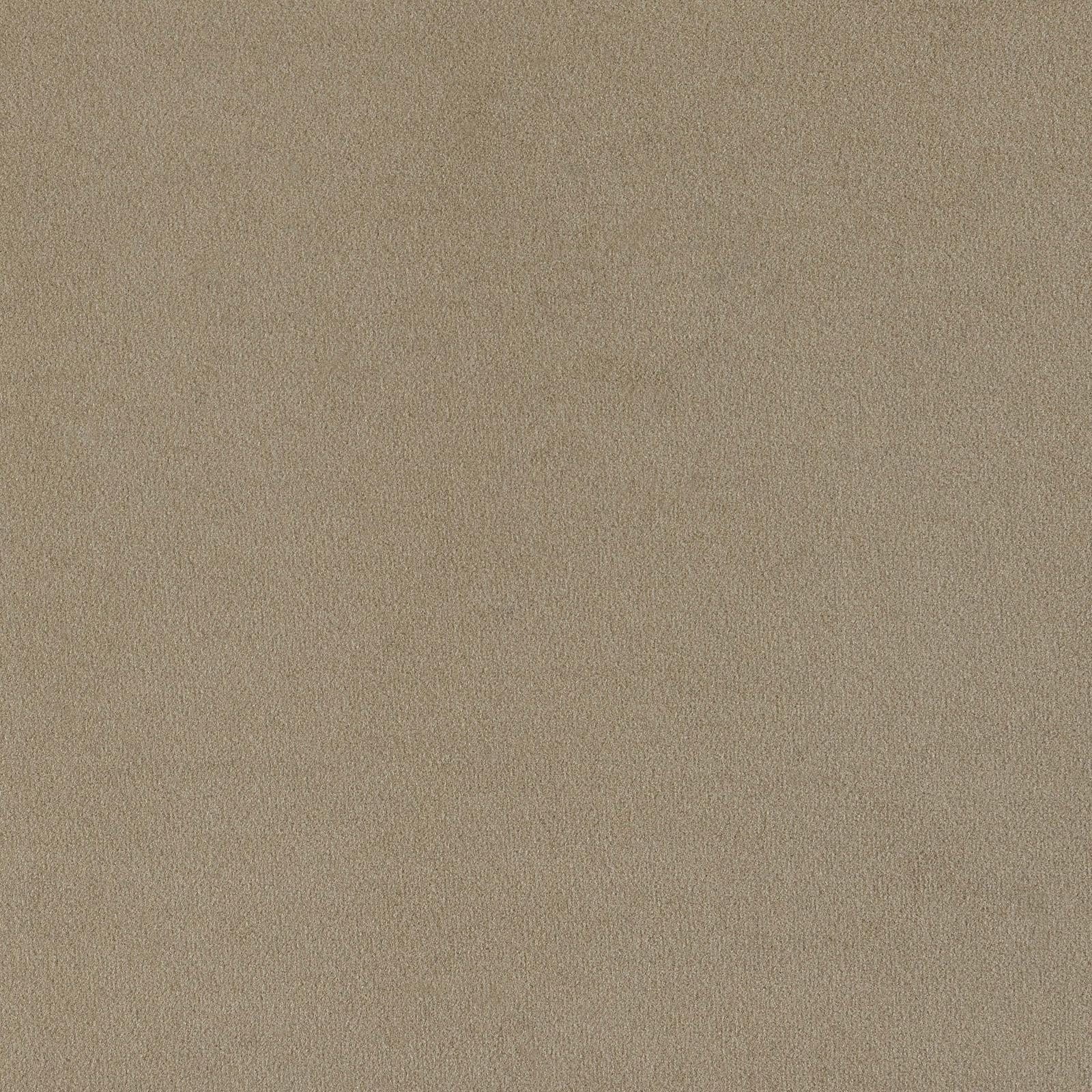 Rainn Upholstered Tight Back Chair Latte - Image 11