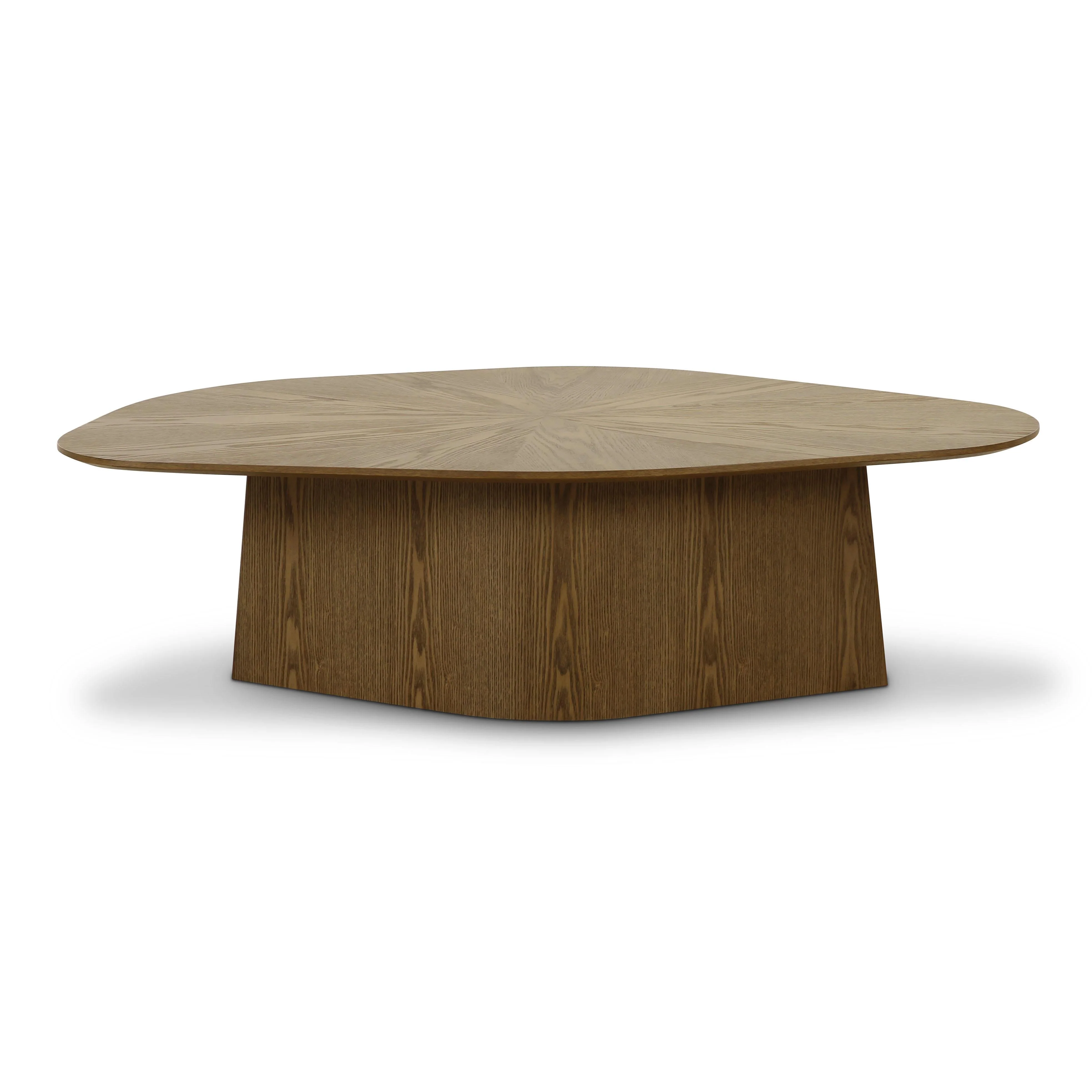 Roche Ash Geometric Coffee Table - Image 11