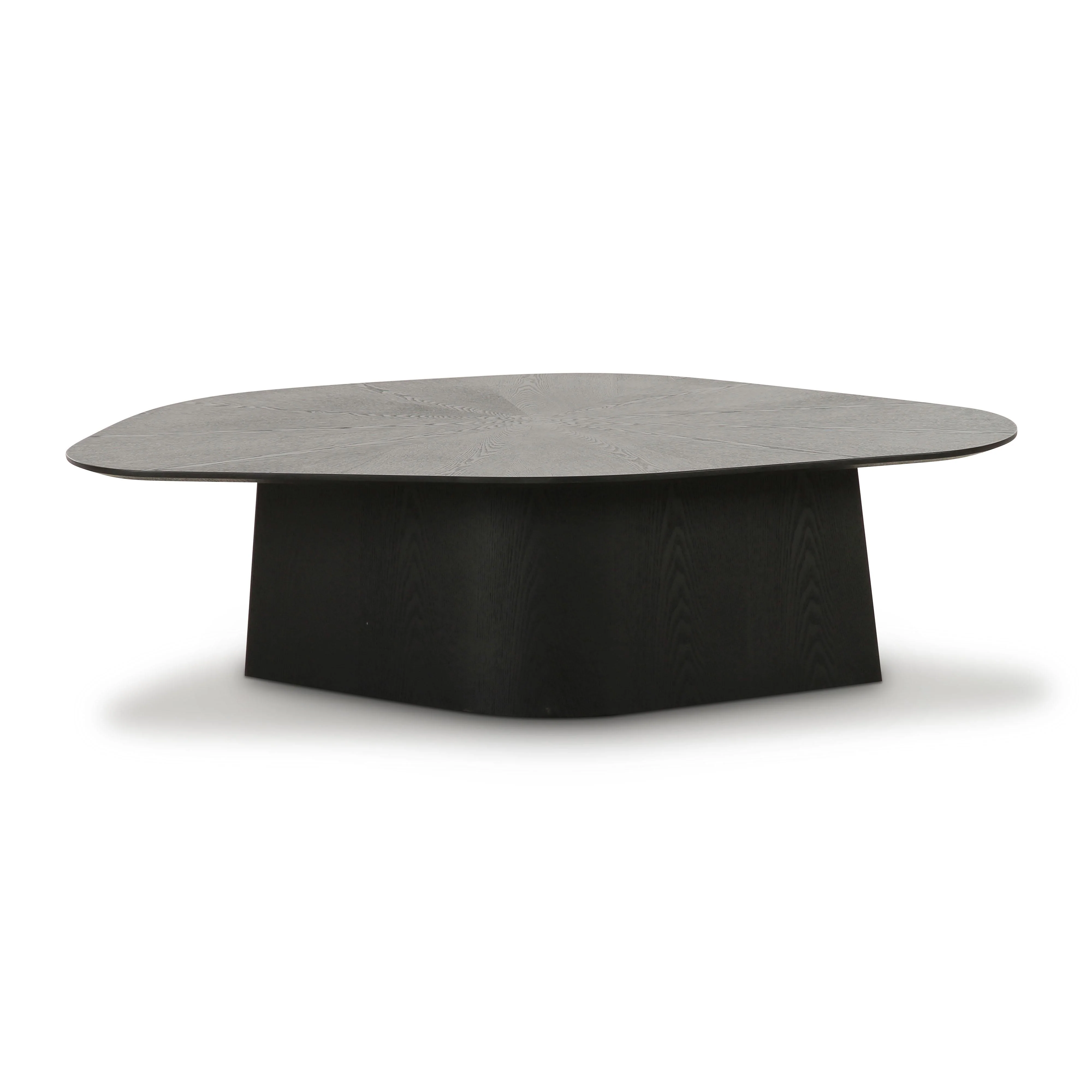 Roche Ash Geometric Coffee Table - Image 3
