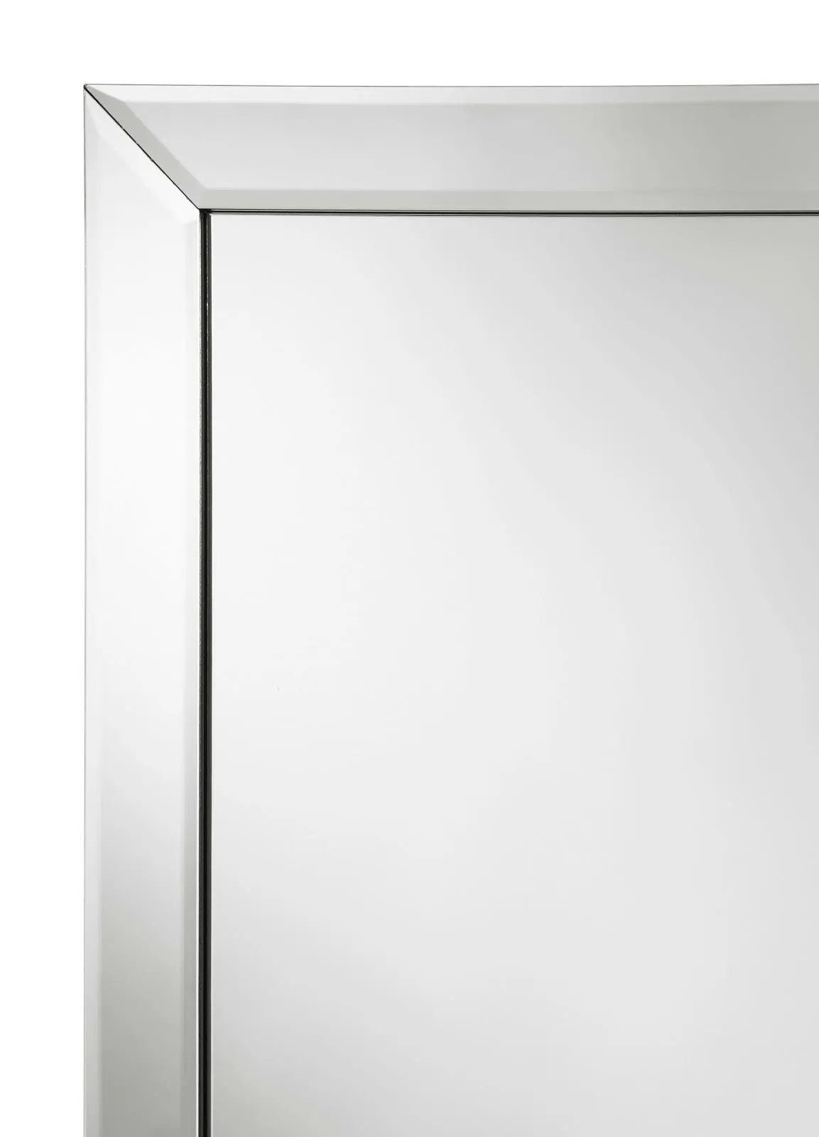 Soline Rectangle Cheval Mirror - Image 5